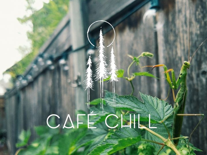 A wooden fence. Behind the fence are some green deciduous trees. In the foreground is a green, leafy plant. The Cafe Chill logo is superimposed.