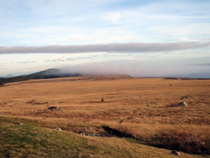 "Prairie Fog at San Juan Island National Historical Park". Credit: National Park Service, 2010, public domain.