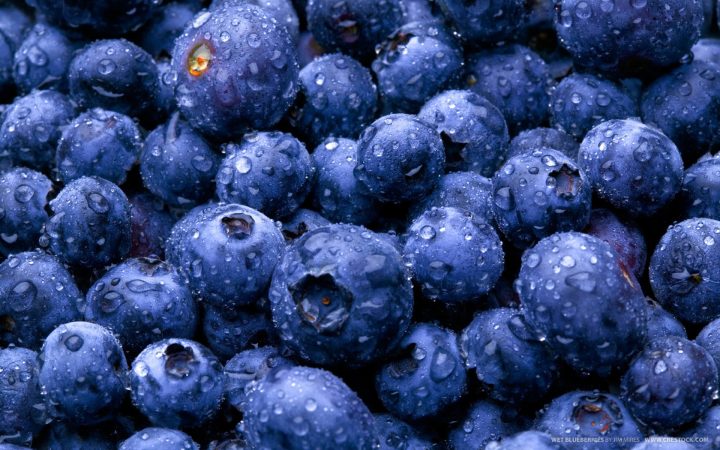 "Blueberries from Alaska". Credit: Alaska Region Subsistence, National Park Service, public domain.