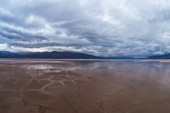 "After Rain". Credit: NPS / Kurt Moses, Death Valley National Park. Public domain