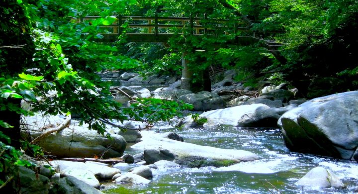 "Rapids of Rock Creek near Rapids Bridge". Credit: Rock Creek Park (National Park Service), public domain.