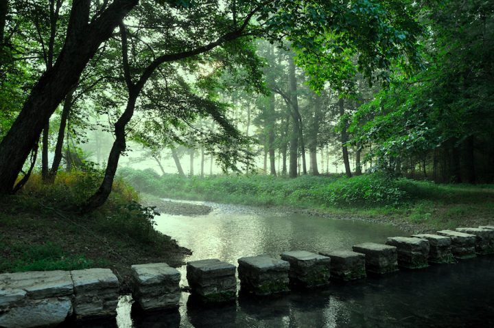 Misty nature scene with a creek and stones crossing the water for a hiker.