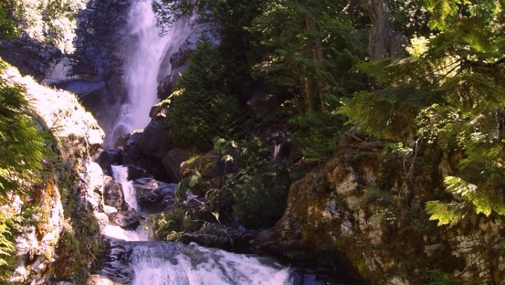 Cascading waterfall surrounded by trees.