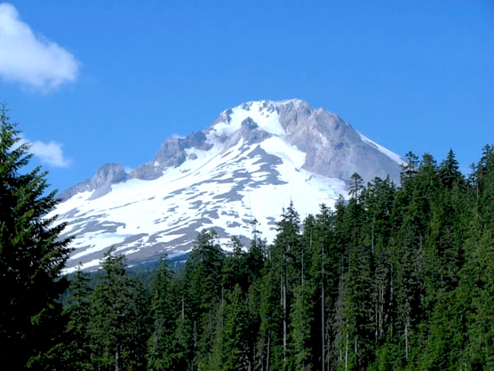 Distant volcano with evergreen trees in the foreground and blue skies.