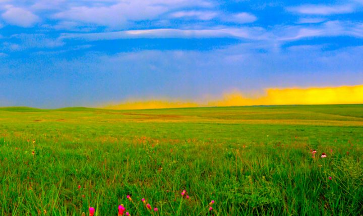 Rain clouds in sky and large field of tallgrass and wildflowers in foreground