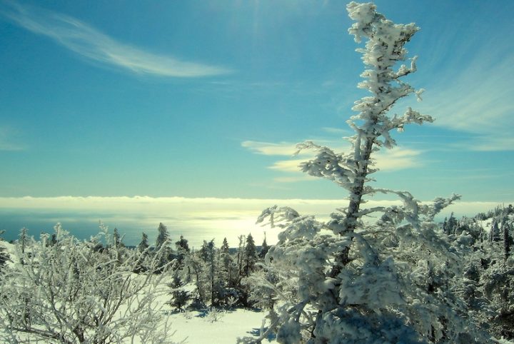 A winter landscape, with evergreen trees covered in snow and ice. The ground is snow covered. There are some clouds in the sky, but it is mostly blue, on a sunny day. The ground slopes downward.