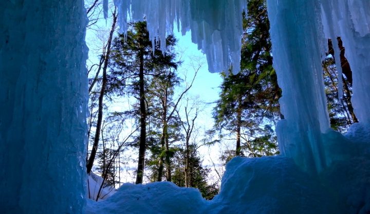 A view of evergreen trees through a hole in a wall of ice, likely a cave.