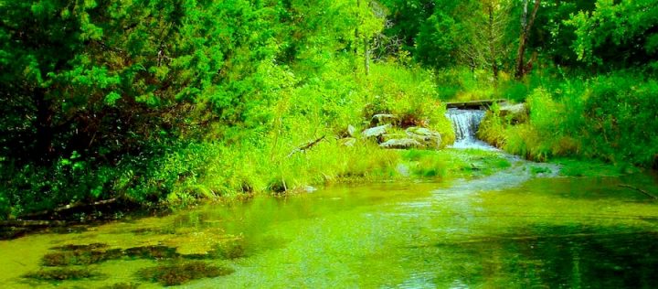 A short waterfall emptying into a green pond. The pond is surrounded by greenery.