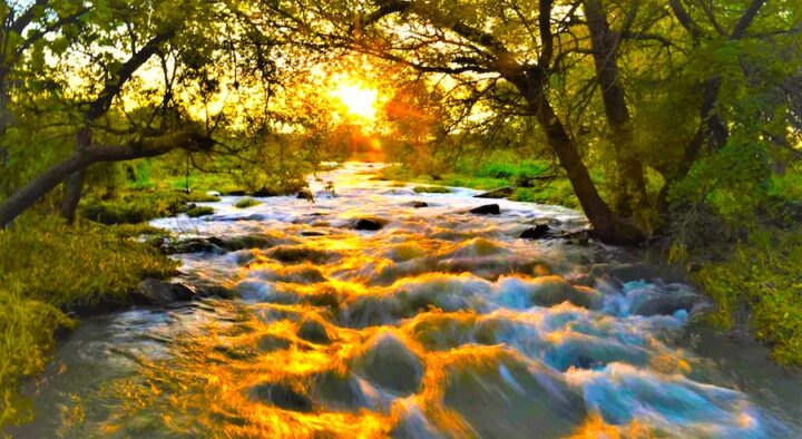 A creek with water running toward the camera's perspective. The sunset is occurring towards the direction of the head of the creek. The creek has many rocks in it, make the water run as rapid. The land area around is grassy with trees that are filtering the sunset. The sun is bright yellow and reflects on the rapids.