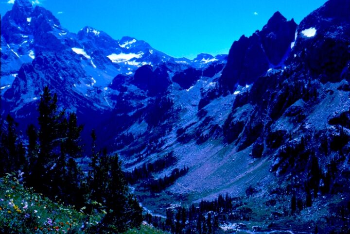 A canyon with minimal vegetation and tiny bits of snow near the valley mountain peaks. In the foreground are wild flowers and a few evergreen trees. The sky is blue.