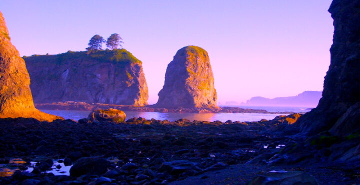 A shady, rocky coastline, with giant sun illuminated rock formations just off the coast. The formations are shoals and small islands or rock columns called sea stacks. One sea stack has 2 trees on top of it. A light mist is in the background. The sky is a purple-blue.
