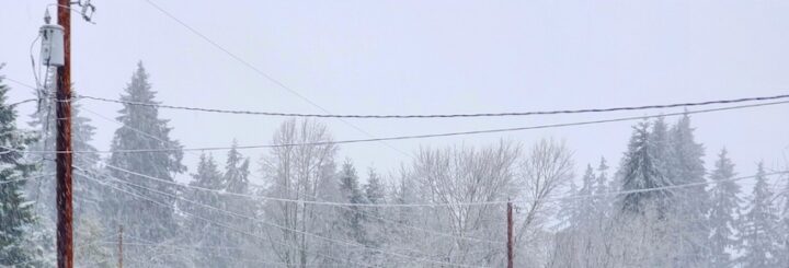 On a cold, wintry December afternoon there is a white sky with wintry trees in the background and poles in the foreground.