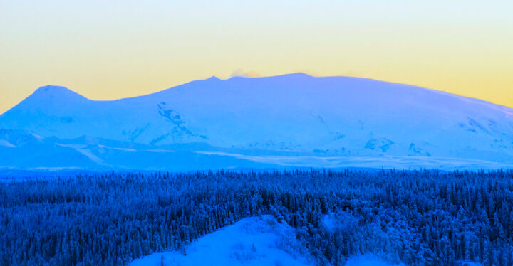 Snow-covered evergreen trees in the foreground of a majestic snow-capped mountain, with wisps of steam rising from its peak. A clear sky completes the picture.