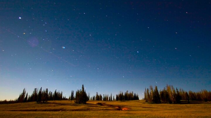 Starry night sky with celestial light over a meadow surrounded by conifer trees.